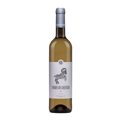 BEB VINHO VINHAS CARNEIRO BRANCO 750ML (6)