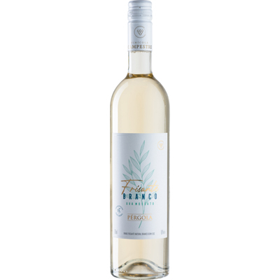 BEBIDAS VINHO VILLA CAMPESTRE TINTAO SECO CAB. SAUVIGNON 750ML (6)