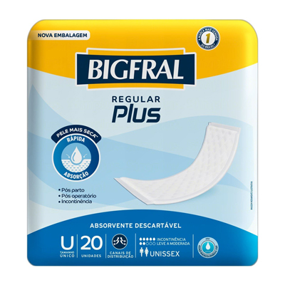 ABSORVENTE GERIATRICO BIGFRAL PLUS REGULAR 20UN (8)