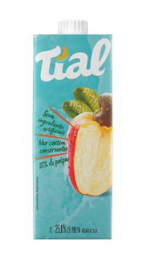 NECTAR TIAL 1L CAJU (12)
